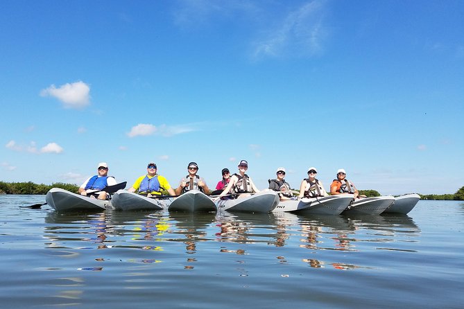 Mangrove Tunnels, Dolphins, Manatee Tour #1 Rated in Cocoa Beach - How the Kayak Setup Works (And Why It Matters)