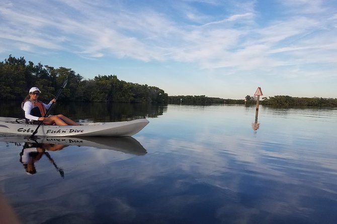 Mangrove Tunnels, Dolphins, Manatee Tour #1 Rated in Cocoa Beach - The Wildlife Search: Dolphins and Manatees With Realistic Expectations