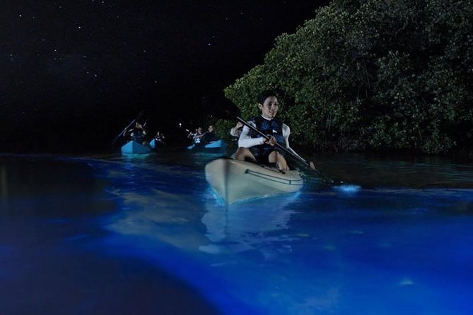 Mangrove Tunnels, Dolphins, Manatee Tour #1 Rated in Cocoa Beach - Price and Value: Is $59 Worth It?