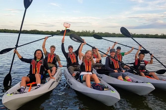 Mangrove Tunnels, Dolphins, Manatee Tour #1 Rated in Cocoa Beach - Weather, Clothing, and the Small Things That Make It Better