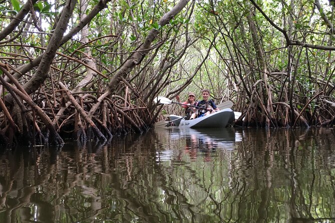 Mangrove Tunnels, Dolphins, Manatee Tour #1 Rated in Cocoa Beach - Entering the Mangrove Tunnels Without Feeling Lost