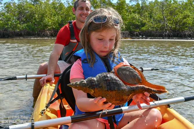 Mangrove Tunnels & Mudflats Kayak Tour - Local Biologist Guides - Why Rookery Bay is the kind of kayak place I plan around