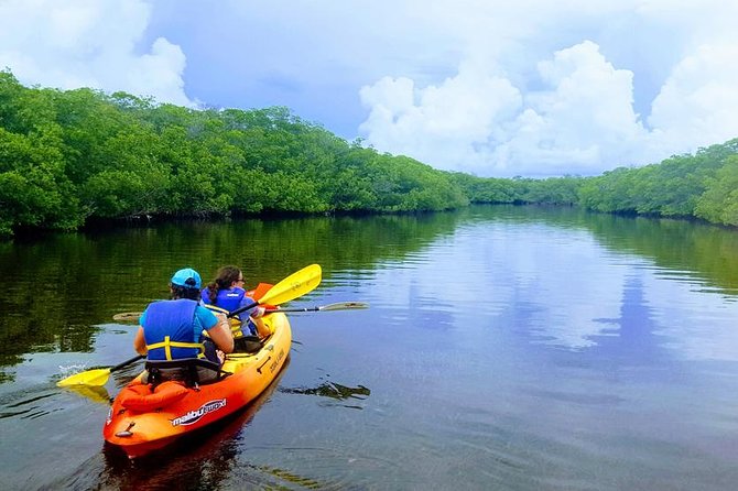 Mangroves and Manatees - Guided Kayak Eco Tour - Where You Paddle: Tavernier Creek Mangroves in the Upper Keys
