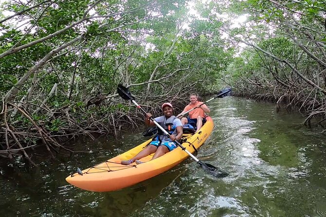 Mangroves and Manatees - Guided Kayak Eco Tour - Gear, Comfort, and Simple Tips You’ll Actually Use