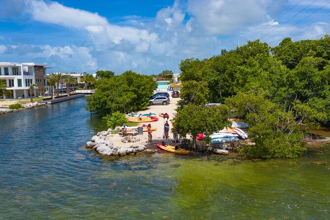 Mangroves and Manatees - Guided Kayak Eco Tour - Price and Value: What You Get for $69 in Key Largo
