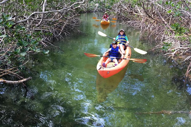 Mangroves and Manatees - Guided Kayak Eco Tour - Choosing Between Single and Double Kayaks