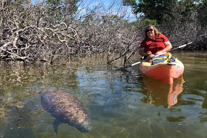 Mangroves and Manatees - Guided Kayak Eco Tour - Who This Tour Fits Best in the Florida Keys