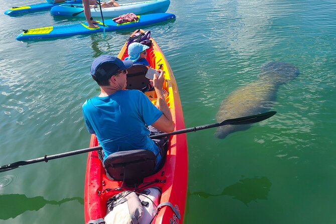 Mangroves, Manatees, and a Hidden Beach: Kayak Tour - Quick hits before you paddle