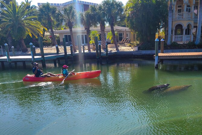 Mangroves, Manatees, and a Hidden Beach: Kayak Tour - Itinerary Breakdown: What Happens During the Two Hours