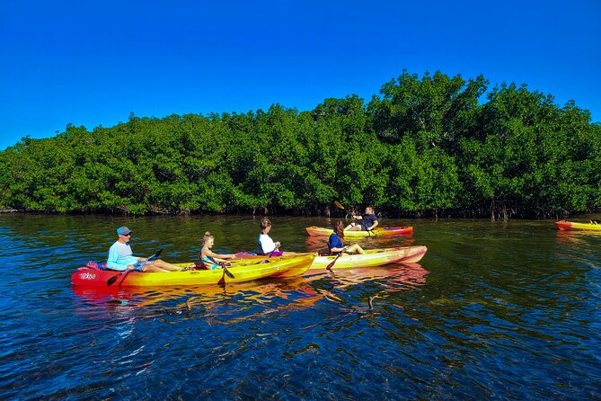 Mangroves, Manatees, and a Hidden Beach: Kayak Tour - What to Bring, and How to Have a Smooth Paddle