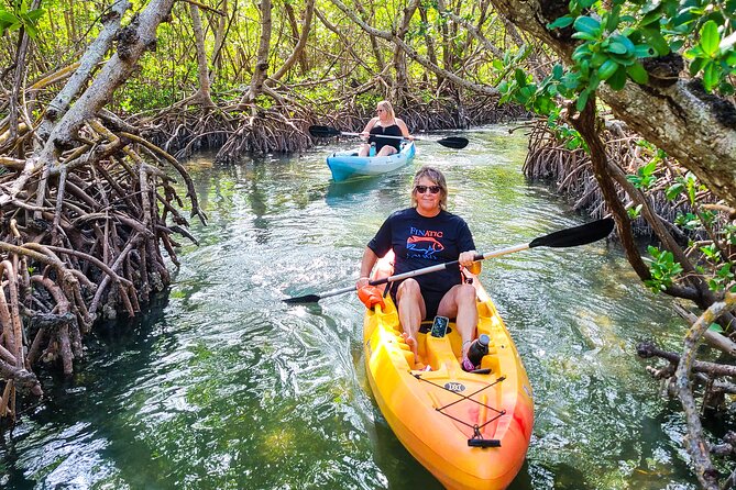 Mangroves, Manatees, and a Hidden Beach: Kayak Tour - Midnight Pass: Crystal-Clear Water and Your Hidden Beach Stop