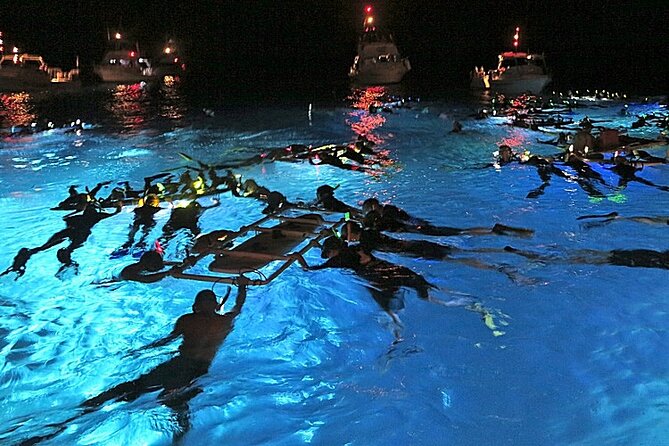 Manta Magic: Small-Group Manta Ray Night Snorkel in Kailua Kona - Key things to know before you go