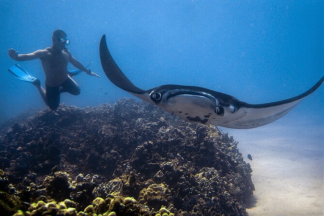 Manta Magic: Small-Group Manta Ray Night Snorkel in Kailua Kona - Gear, wetsuits, and what to bring so you’re not scrambling