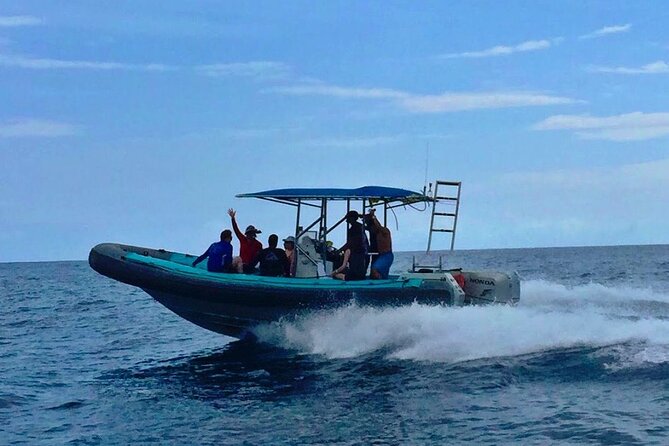 Manta Ray Night Snorkel at Kona, Big Island - Price and value: $44 for gear, time, and a real shot at close mantas