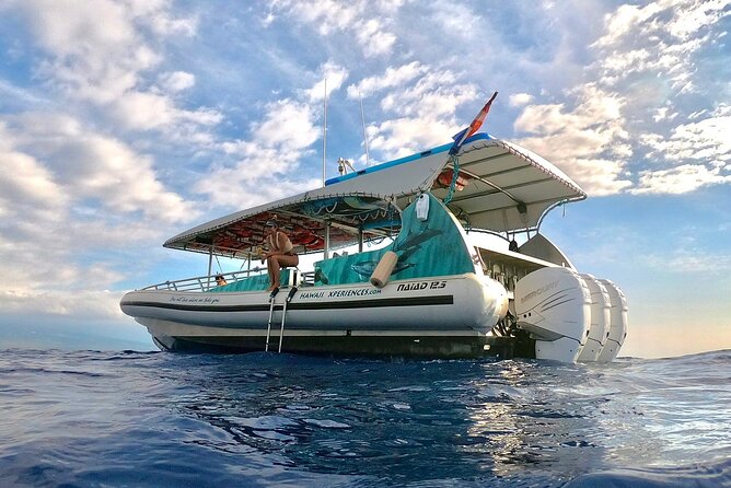 Manta Ray Night Snorkel from Kona — Small Group - The route from Honokohau to Garden Eel Cove, Manta Heaven