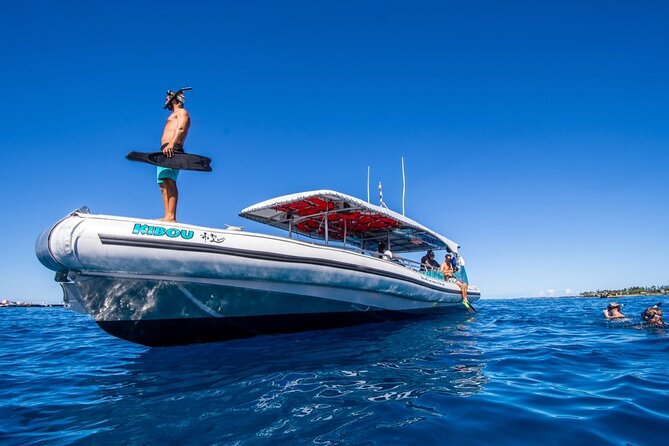 Manta Ray Night Snorkel from Kona — Small Group - What it feels like in the water: close encounters, but with control