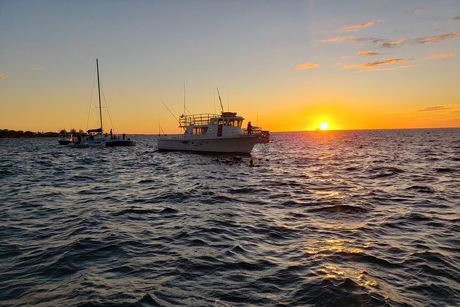 Manta Ray Night Snorkel in Kona - Comfort, what to pack, and how to not freeze mid-show