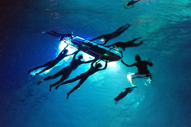 Manta Ray Night Snorkel Kona - Coral Reef Snorkel Adventures - Who should book, and who should reconsider