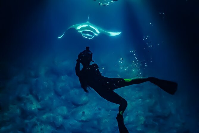 Manta Ray Night Snorkel Tour in Kailua-Kona, Big Island - Guides, crew energy, and why the experience feels special
