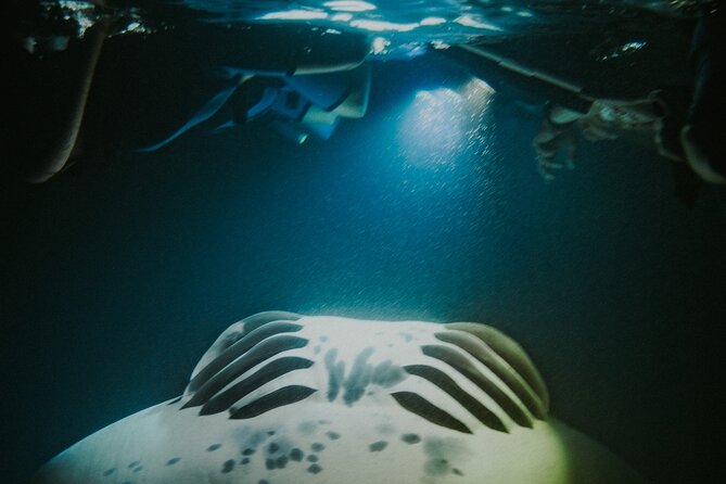Manta Ray Snorkeling by Night in Kailua-Kona, Hawaii - Weather, the manta ray guarantee, and what to expect if sightings are slow