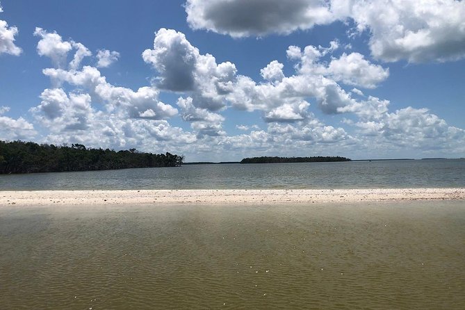 Marco Island 2 hour Dolphin, Birding and Shelling tour - A small-group wildlife cruise with a beach payoff