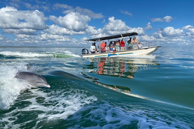 Marco Island Dolphin Sightseeing Tour - What the Live Commentary Adds (and Why It Matters)