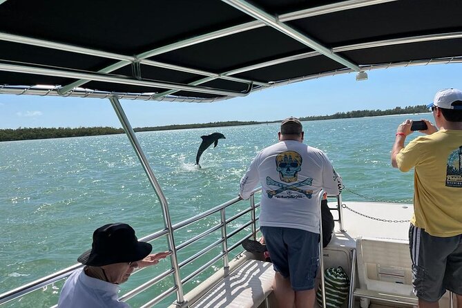 Marco Island Dolphin Sightseeing Tour - Small Group Limit: Why Hearing the Guide Changes Everything