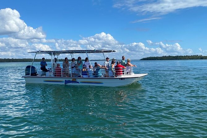 Marco Island Dolphin Sightseeing Tour - Included Comforts: Cooler, Ice, and Water You Do Not Have to Plan For