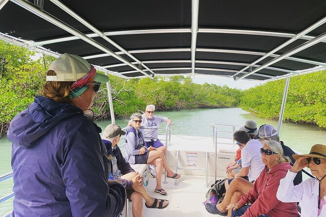 Marco Island Dolphin Sightseeing Tour - Not Included: Parking and Lunch, So Plan Your Budget