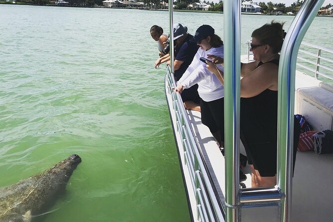 Marco Island Dolphin Sightseeing Tour - Expect Dolphins to Behave, Not Just Appear