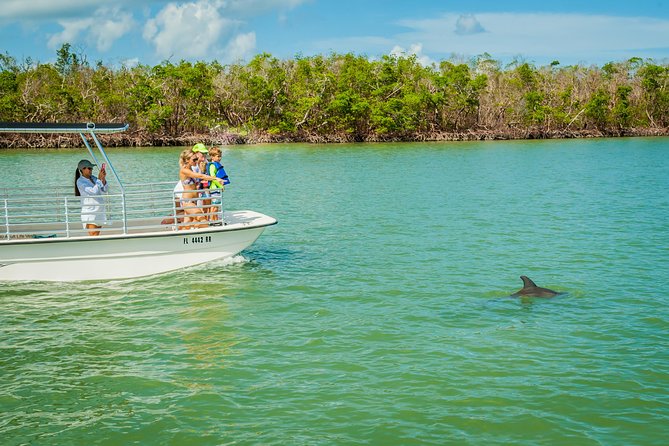 Marco Island Dolphin Sightseeing Tour - Stop at Goodland Boating Park: Timing That Keeps the Trip Smooth