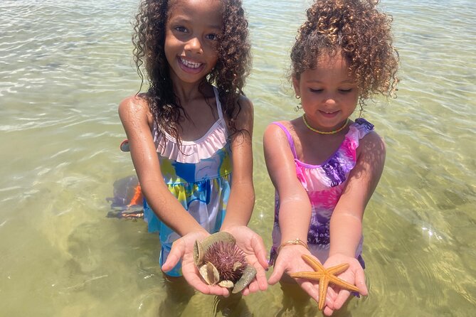 Marco Island Wildlife Sightseeing and Shelling Tour - Goodland Boat Park Check-In: where the trip starts