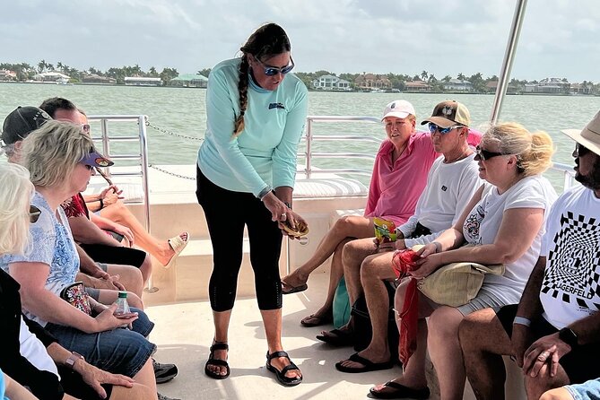 Marco Island Wildlife Sightseeing and Shelling Tour - Wildlife Highlights: dolphins, manatees, and the nature of surprises