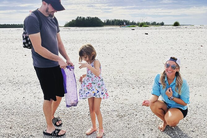 Marco Island Wildlife Sightseeing and Shelling Tour - Timing, Weather, and Comfort Tips for a Smooth Ride