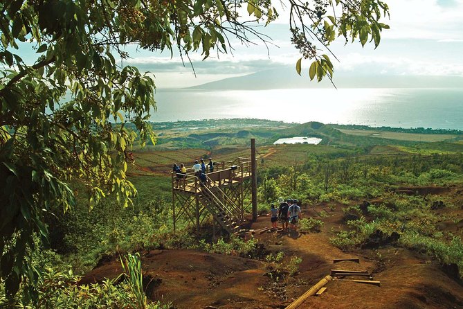 Maui 8 line Zipline Adventure: Soar above valleys & Island views - Key highlights you should know