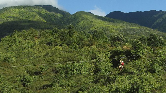 Maui 8 line Zipline Adventure: Soar above valleys & Island views - Price and value: is $214.61 worth it?