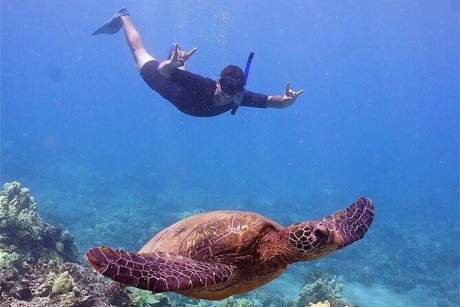 Maui Afternoon Snorkel Aboard Malolo to Molokini or Coral Gardens - Inside the Malolo Catamaran: Comfort, Crew, and Easy Water Access
