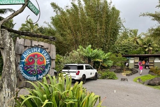 Maui by Storm: Epic Private Luxury Road to Hana Adventure Tour - Hana Highway: the part everyone came for, with time to actually enjoy it
