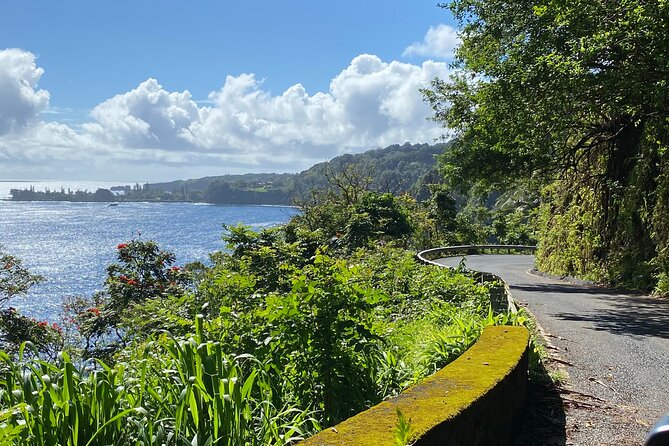 Maui by Storm: Epic Private Luxury Road to Hana Adventure Tour - Maui Honey Bee Sanctuary and Charles Lindbergh’s Grave: optional stops that can change the vibe