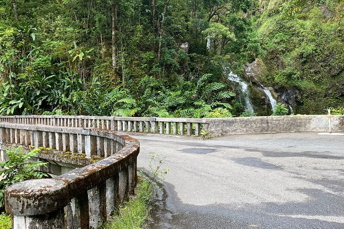 Maui by Storm: Epic Private Luxury Road to Hana Adventure Tour - Laulima Farm and the “eat like a local” strategy