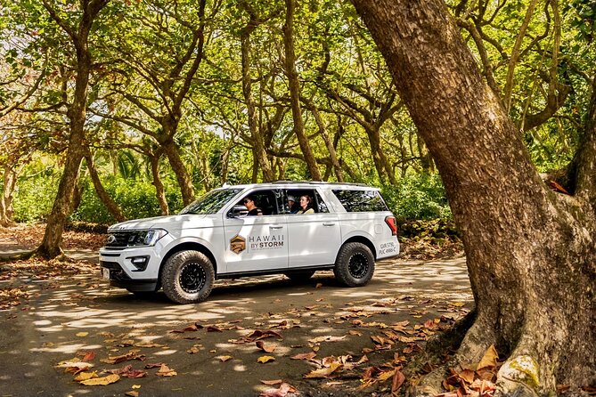 Maui by Storm: Epic Private Luxury Road to Hana Adventure Tour - Waterfalls and pools: where you might swim and where you slow down