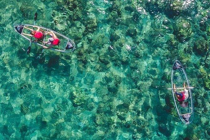 Maui Clear Kayak and Snorkel Tour: Swim with turtles (Makena) - Key Takeaways Before You Go