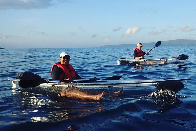 Maui Clear Kayak and Snorkel Tour: Swim with turtles (Makena) - Snorkeling with Sea Turtles: Included, Optional, and Short on Stress