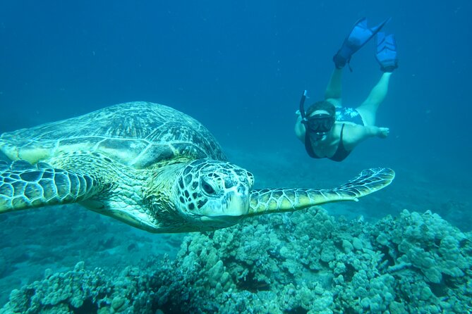 Maui Clear Kayak and Snorkel Tour: Swim with turtles (Makena) - Guides Make the Difference: Names You Will Hear on the Water