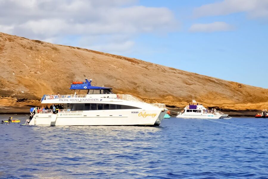 Maui: Eco-Friendly Molokini & Turtle Town Tour with Meals - Who this tour is best for, and who should think twice