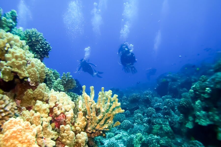 Maui: Eco-Friendly Molokini & Turtle Town Tour with Meals - Professional naturalists and the Junior Naturalist Program for kids