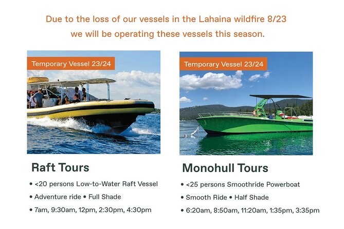 Maui Eco-Raft Tour: Eye-Level Whale or Dolphin Watching - Lahaina - Why This Lahaina Raft Feels Personal
