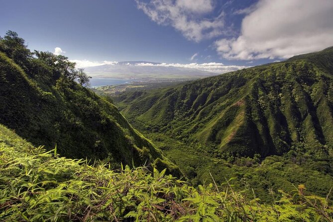 Maui Horseback Adventure at Circle M Ranch With Real Cowboys - Key Highlights at Circle M Ranch in Maui