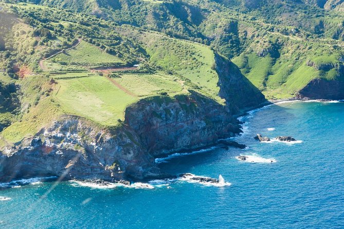 Maui Horseback Adventure at Circle M Ranch With Real Cowboys - Ascending Back Up: Rain Forest Feel and Plantation Home Views