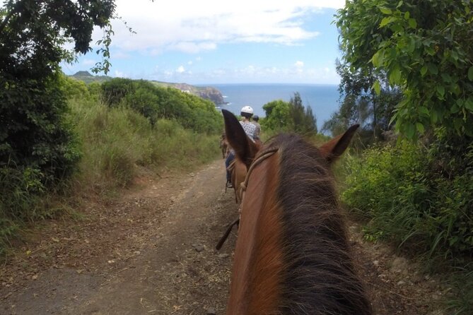 Maui Horseback Adventure at Circle M Ranch With Real Cowboys - Who Should Book, and Who Might Want to Pass